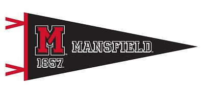NEW ATHLETIC LOGO 12 x 30 PENNANT